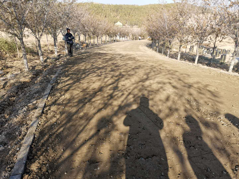 水泥稳定土